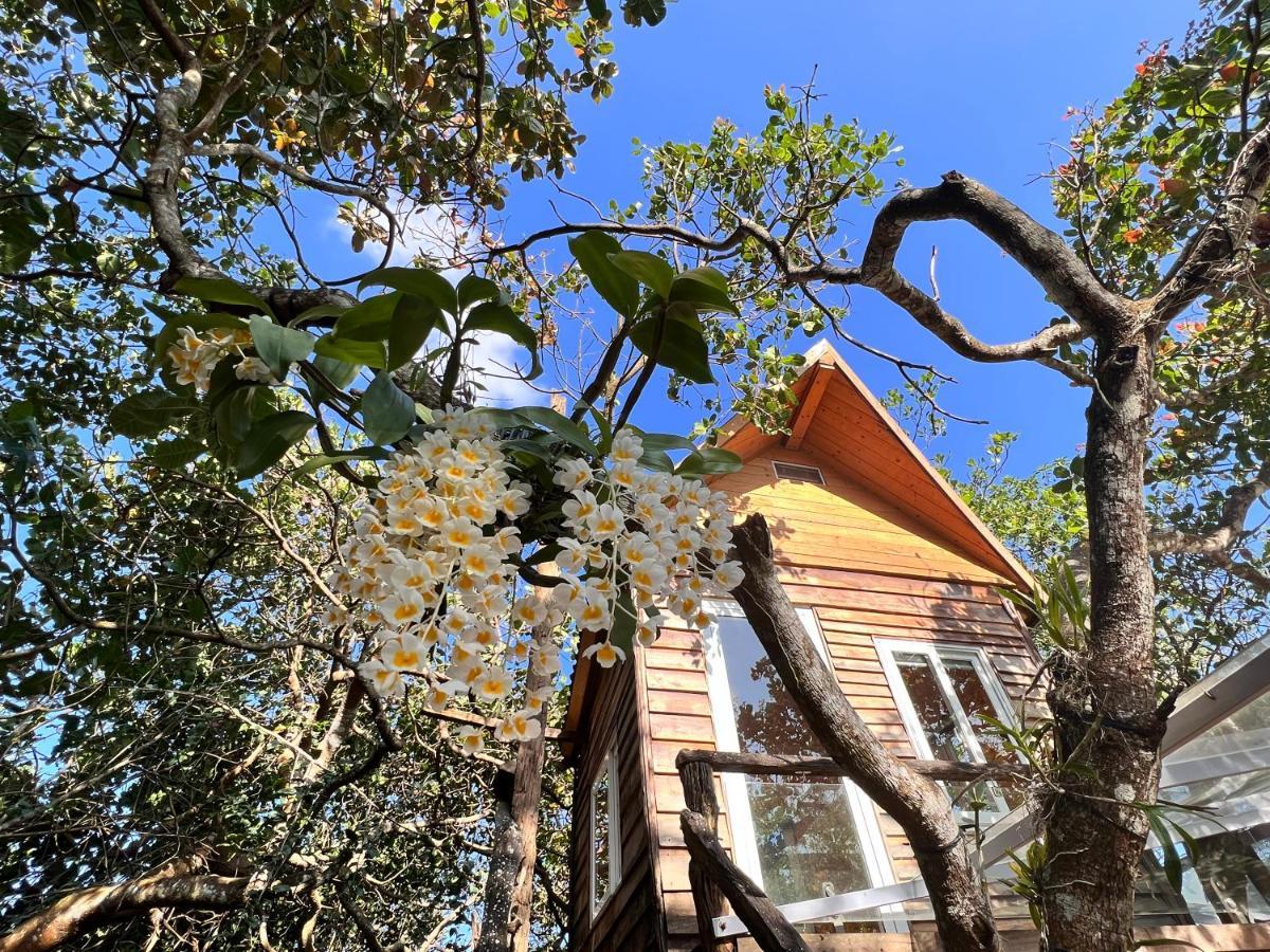Megarden Daknong Villa Gia Nghia Dış mekan fotoğraf